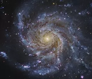 Molecular Clouds Collection: Messier 101, The Pinwheel Galaxy in Ursa Major