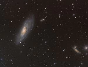 M106 Collection: Messier 106 spiral galaxy in the constellation Canes Venatici