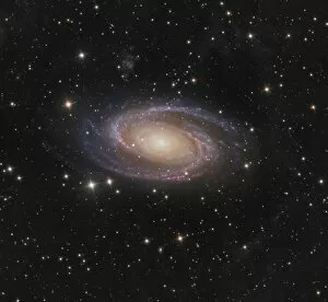 Active Galactic Nucleus Collection: Messier 81 spiral galaxy in the constellation Ursa Major