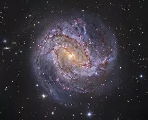 Active Galactic Nucleus Collection: Messier 83, the Southern Pinwheel Galaxy