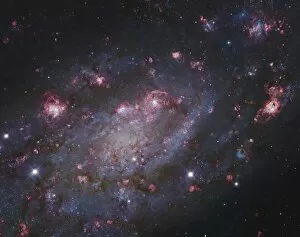 Sparkling Collection: NGC 2403, a spiral galaxy in Camelopardalis