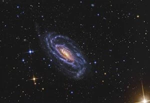 Seyfert Galaxy Collection: NGC 5033, a spiral galaxy situated in the constellation of Canes Venatici