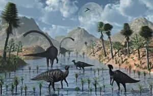 Landscape painting Collection: Sauropod and duckbill dinosaurs feed peacefully together