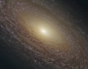 Core Collection: Spiral Galaxy NGC 2841