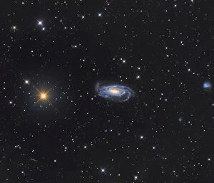 Sparkling Collection: Spiral galaxy NGC 5033 in the constellation Canes Venatici