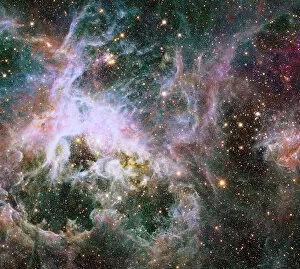 Cosmic Dust Collection: Star formation in the Tarantula Nebula