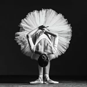 Contemporary Collection: Ballerina at class