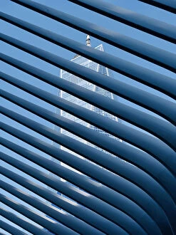 Blinds Collection: Behind Bars - Manhattan New York