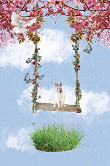 Swing Collection: Bunny flies high in the Beautiful Sky