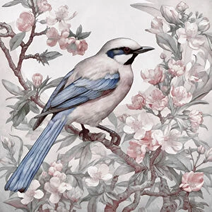 Chinoiserie Canvas Print Collection: Chinoiserie Bird Spring Vibes 001