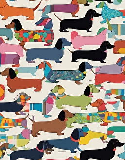 Patterns Metal Print Collection: Dachshunds