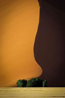 Landscape Canvas Print Collection: Dune 1