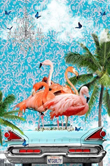 Surrealist paintings Photographic Print Collection: Flamboyance California Dream