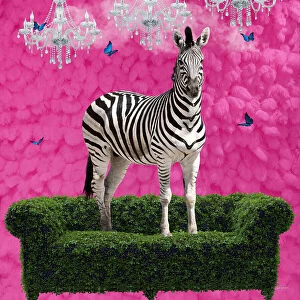 Abstract paintings Collection: Free Spirited Zebra on a Green Settee
