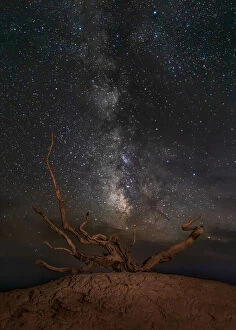 Milky Way Tote Bag Collection: Gobi Desert Night