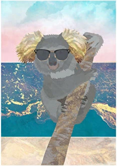 Koala Canvas Print Collection: Koala On Holiday