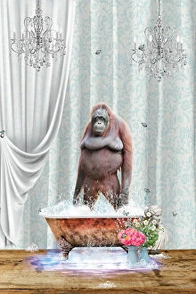 Surrealism Framed Print Collection: Orangutan & Bubbles