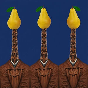 Surreal Premium Framed Print Collection: Pears. Giraffes. Jackets