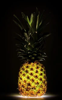 Pineapple Collection: Pineapple