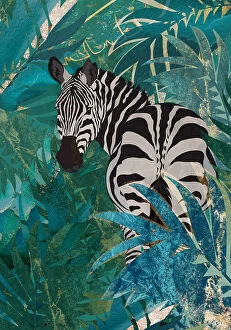 Zebra Collection: Zebra in the jungle 1