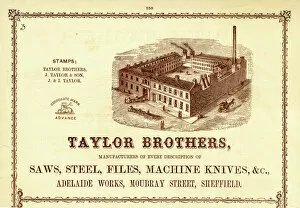 Cutlery Collection: Advertisement for Taylor Brothers, Manufacturers of Saws, Steel, Files, Machine Knives, etc