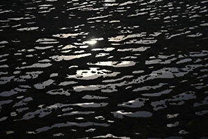 Latvia Jigsaw Puzzle Collection: Aerial view of bog with reflecting off water, Kemeri National Park, Latvia, June 2009