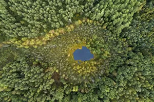 Poland Photographic Print Collection: Aerial view of dystrophic forest lake surrounded by peatbog