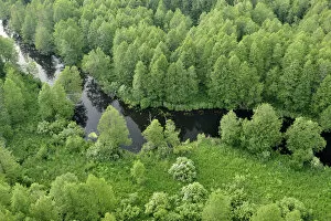 Latvia Jigsaw Puzzle Collection: Aerial view of river, Kemeri National Park, Latvia, June 2009