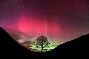 Hadrian's Wall Mouse Mat Collection: Aurora Borealis over Sycamore Gap, Hadrians Wall, Northumberland, England