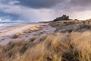 Landscape Collection: Bamburgh Castle and sand dunes, late evening light, Bamburgh, Northumberland, UK. March 2018