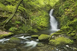 Waterfall art Premium Framed Print Collection: Dolgoch Falls, Gwynedd, Wales, UK, May 2015