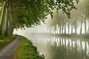 Running Collection: A jogger on the towpath of the Canal du Midi near Castelnaudary, Languedoc-Rousillon, France