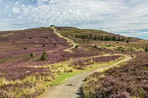 Nature landscapes Canvas Print Collection: Offas Dyke path leading to the summit of Moel Famau in the Clwydian Mountain Range