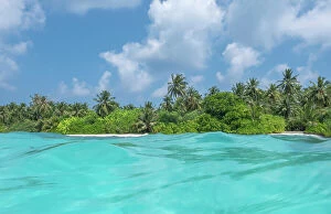 Atoll Collection: Palm trees and dense vegetation on Dhigurah Island viewed from the sea, South Ari Atoll, Maldives
