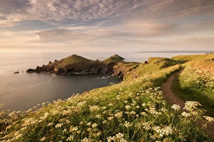 Landscape paintings Jigsaw Puzzle Collection: The Rumps, Pentire Head, late evening light with the Devon Coastal Path, Polzeath, Cornwall, UK
