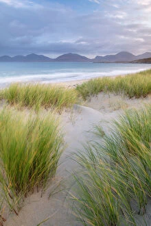 Beachgrass Collection: Sand dunes, marram grass (Ammophila arenaria) and beach at sunrise, Luskentyre, Isle of Harris
