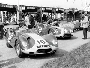Motor Racing Collection: 1958 Listers in pits at Goodwood Tourist Trophy. Creator: Unknown
