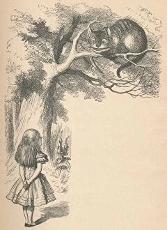 Cats Pillow Collection: Alice and the Cheshire Cat, 1889. Artist: John Tenniel