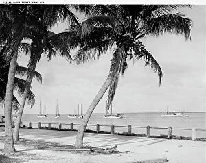 Sailing Boats Collection: Biscayne Bay, Miami, Fla. c.between 1910 and 1920. Creator: William H. Jackson