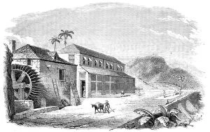 Cocoa Collection: A Bocan, or Cocoa-Drying House in Granada, 1857. Creator: Percy