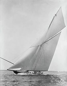 Thomas Johnstone Lipton Collection: The cutter Shamrock beating upwind. Creator: Kirk & Sons of Cowes