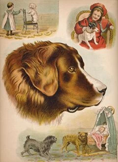 Laura Valentine Collection: The Dog, c1900. Artist: Helena J. Maguire