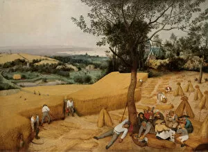 Rural countryside paintings Canvas Print Collection: The Harvesters, 1565. Creator: Pieter Bruegel the Elder
