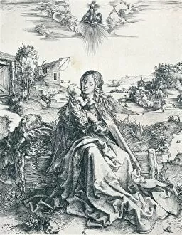 Animal illustrations Framed Print Collection: The Holy Family with the Dragonfly, 1495 (1906). Artist: Albrecht Durer