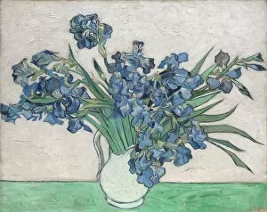 17 Dec 2019 Canvas Print Collection: Irises, 1890. Creator: Vincent van Gogh