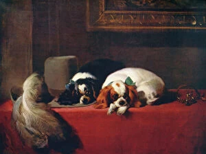 British Museum Framed Print Collection: King Charles Spaniels (The Cavaliers Pets), 1845, (c1915). Artist: Edwin Henry Landseer