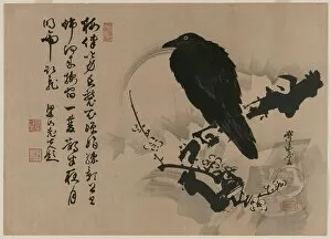 1615 1868 Collection: Full Moon with Crow on Plum Branch, 1880s. Creator: Kawanabe Kyosai (Japanese, 1831-1889)