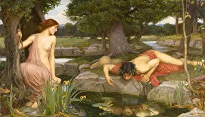 Paintings Metal Print Collection: Narcissus and Echo