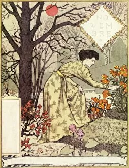 Eugene Grasset Pillow Collection: Novembre, 1896. Creator: Eugene Samuel Grasset