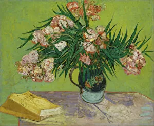 Van Gogh Collection: Oleanders, 1888. Creator: Vincent van Gogh